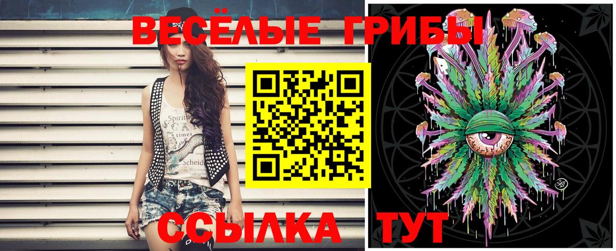 Галлюциногенные грибы Magic Shrooms Гуково